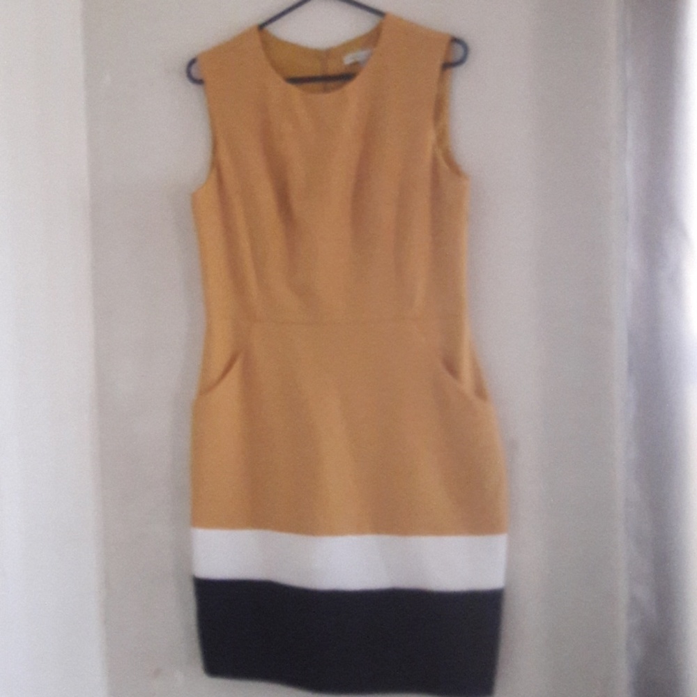 Sandra Darren mustard, white, black dress